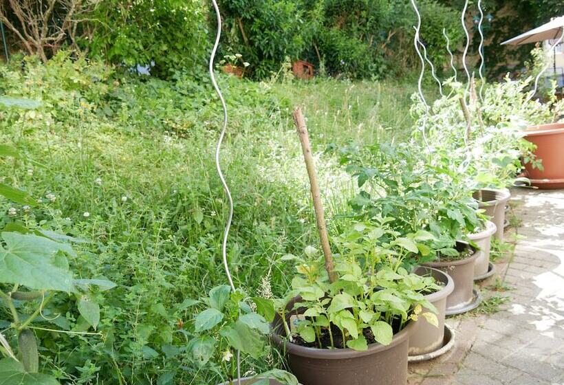 ホテル Schloss Goldacker  Das Schloss Der Gesundheit