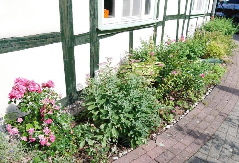 ホテル Schloss Goldacker  Das Schloss Der Gesundheit