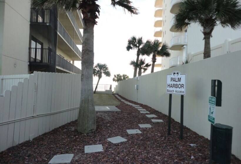 Driftwood Dreams Oba