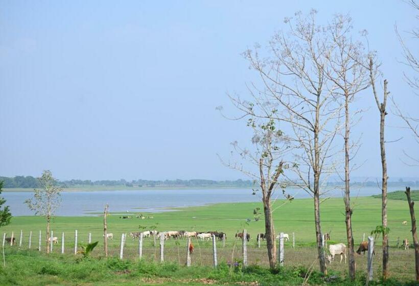 Bed and Breakfast Fireflies Kabini