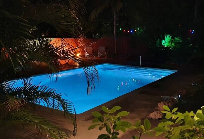 تختخواب و صبحانه Abaai Resort