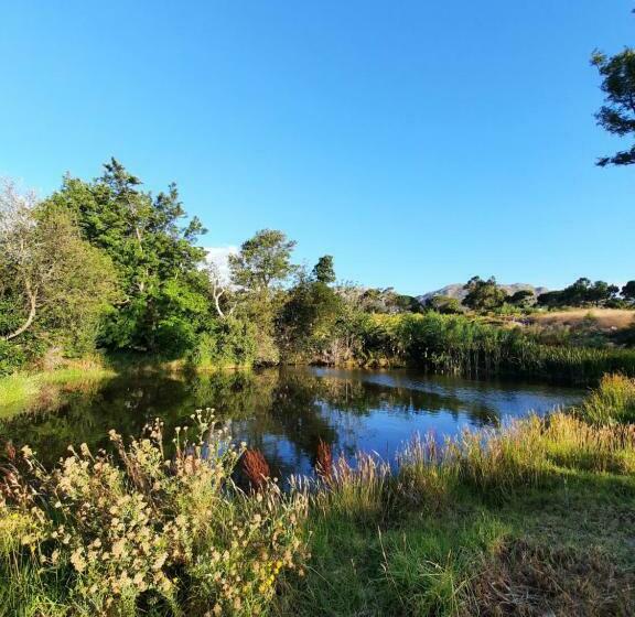 Капсульный Oтель Greystones Self Catering Chalet 1