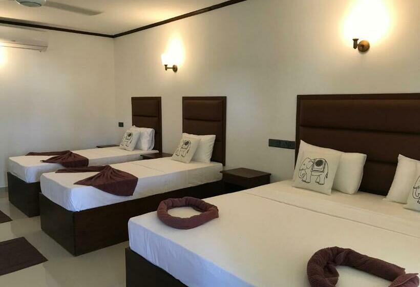 Отель Lemazone Inn