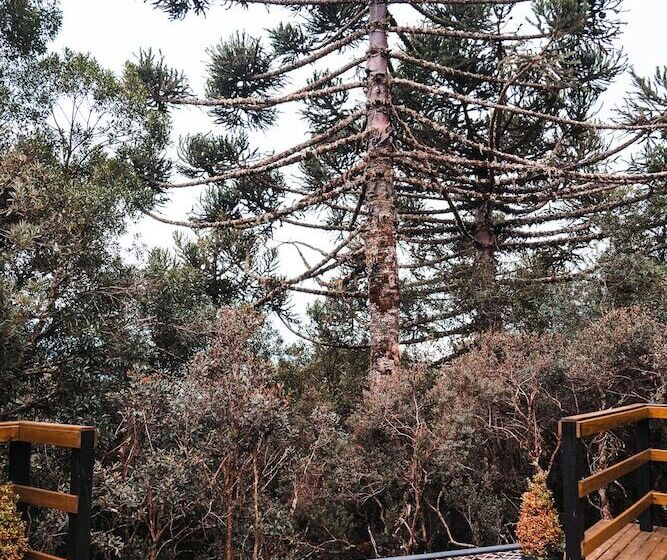 هتل Zion Bubble Glamping