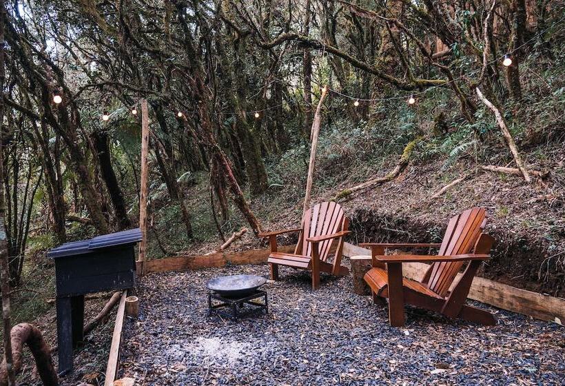 هتل Zion Bubble Glamping