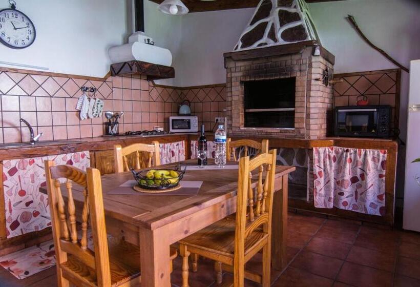 Cozy House Casa Vero Mai Icod De Los Vinos