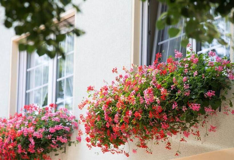 בית מלון כפרי & Gasthaus Zum Eichenkranz