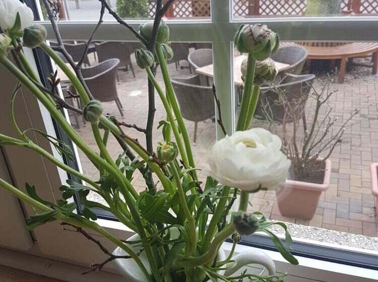 בית מלון כפרי & Gasthaus Zum Eichenkranz