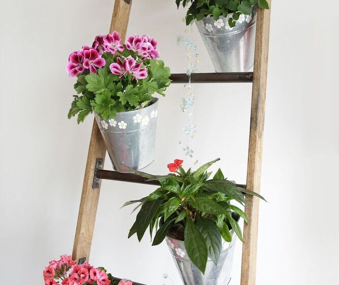 فندق Wittenbeck Resort