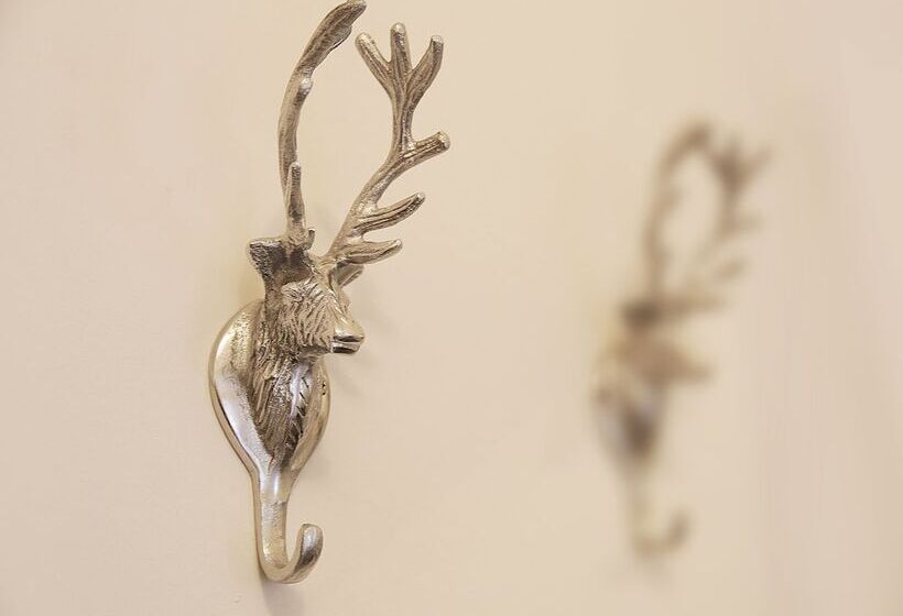 فندق Wittenbeck Resort