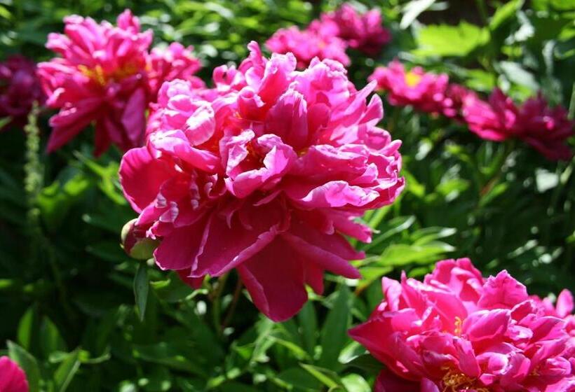 Landhaus Heinrichshof