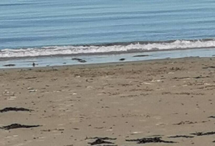 Sea And Mountain View Sunbeach Holiday Snowdonia