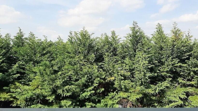 Querini Budget & Business Hotel Sandrigo