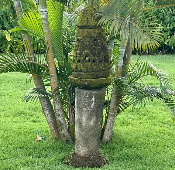 Bed and Breakfast Villa Karma Kama