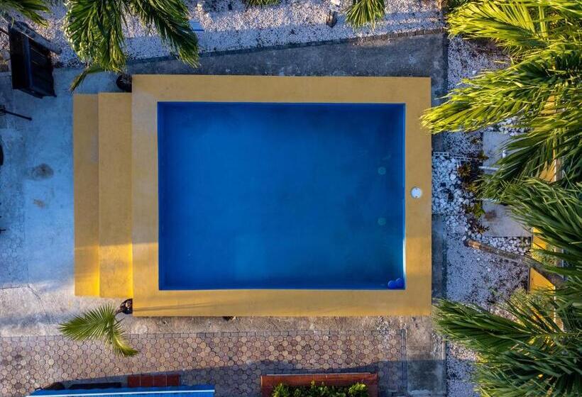 پانسیون Casamares Private Room Solario With Pool And Jacuzzi 5 Min To Boqueron And Beaches