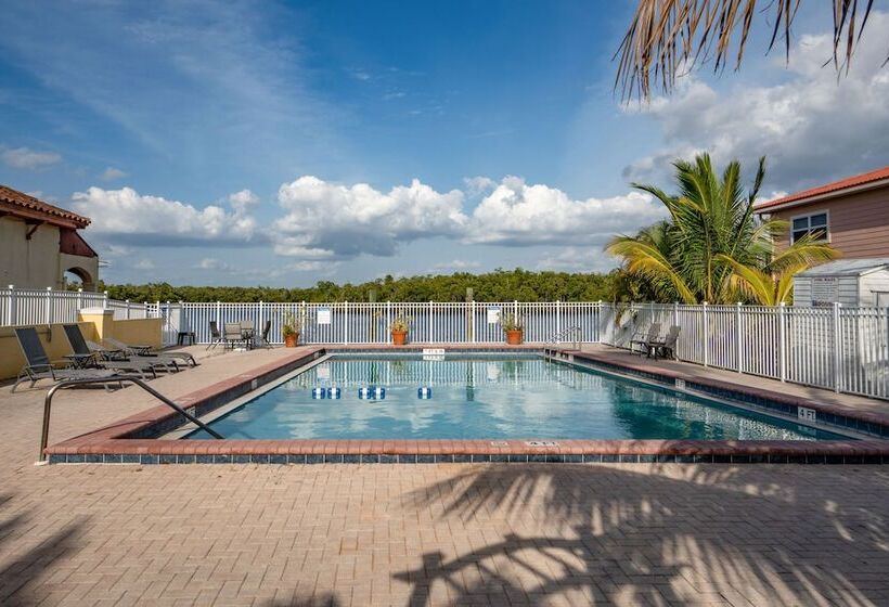 Captain S Table Hotel By Everglades Adventures