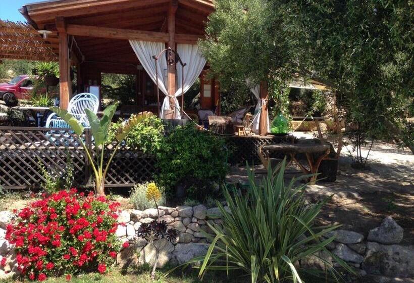 B&b Isole Di Pietra