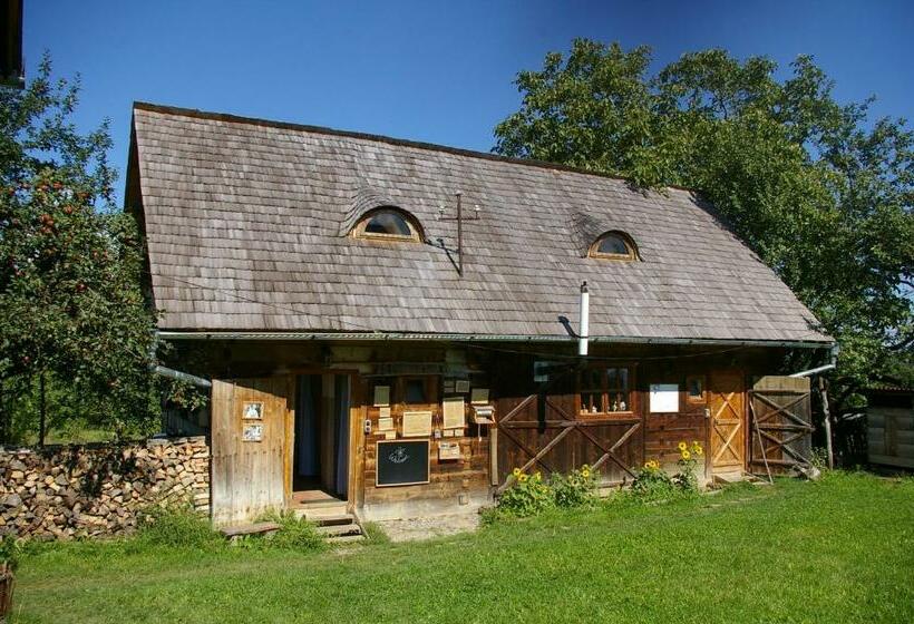 Общежитие Babou Maramures