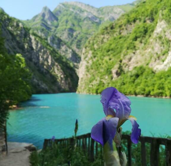 هاستل Riverside Komani Lake