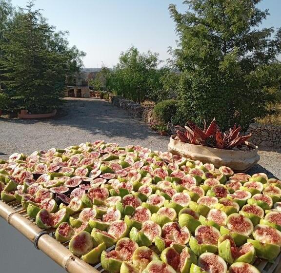 Bed and Breakfast Oniro Specchia