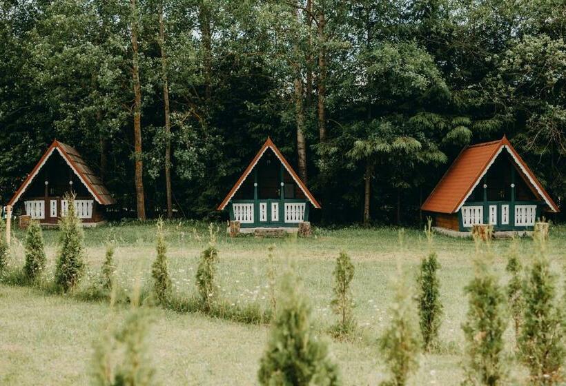 تختخواب و صبحانه Pensiune și Camping Patru Gheorgheni