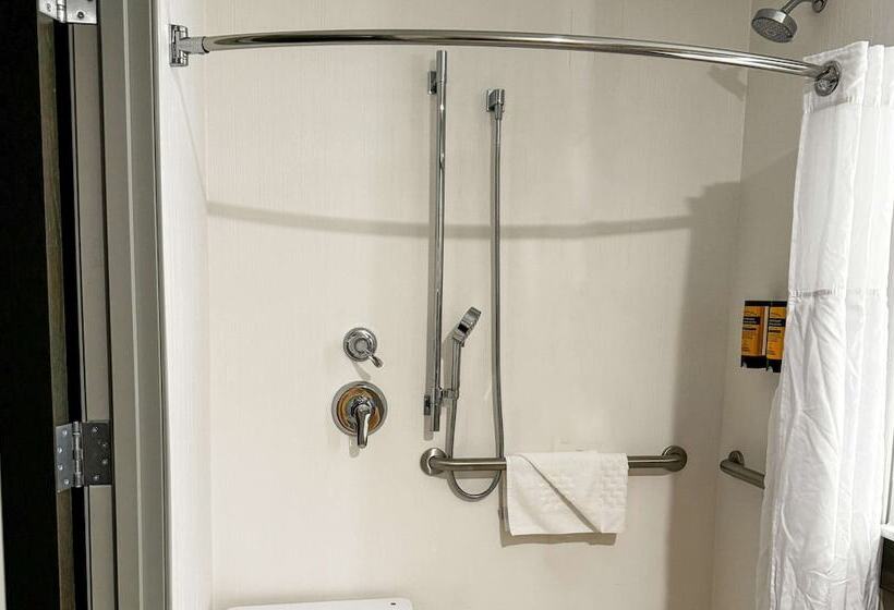 هتل Best Western Plus Grand Rapids Mn