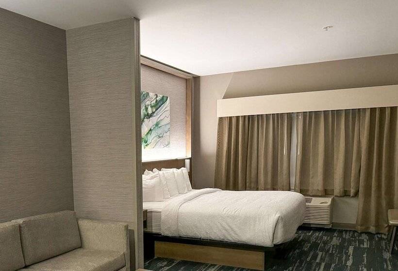 هتل Best Western Plus Grand Rapids Mn