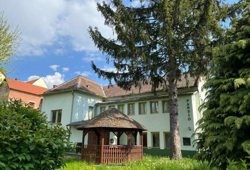 بنسيون Vaskapu Fogadó