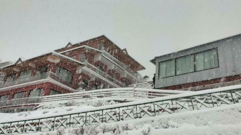호텔 Aaryam Resort, Auli