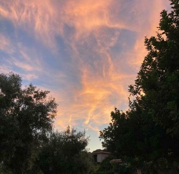 בית מלון כפרי Essenza Di Mirto