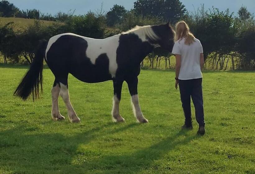 Peaceful Cabin Retreat In Skegby