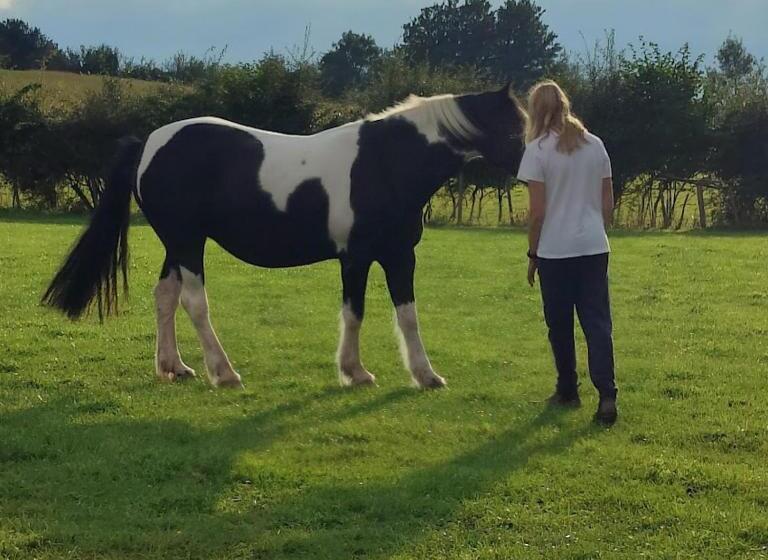 Peaceful Cabin Retreat In Skegby