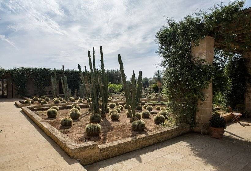 Bed and Breakfast Masseria Saietti