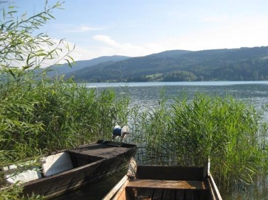 Отель Moarhof Wildenegg