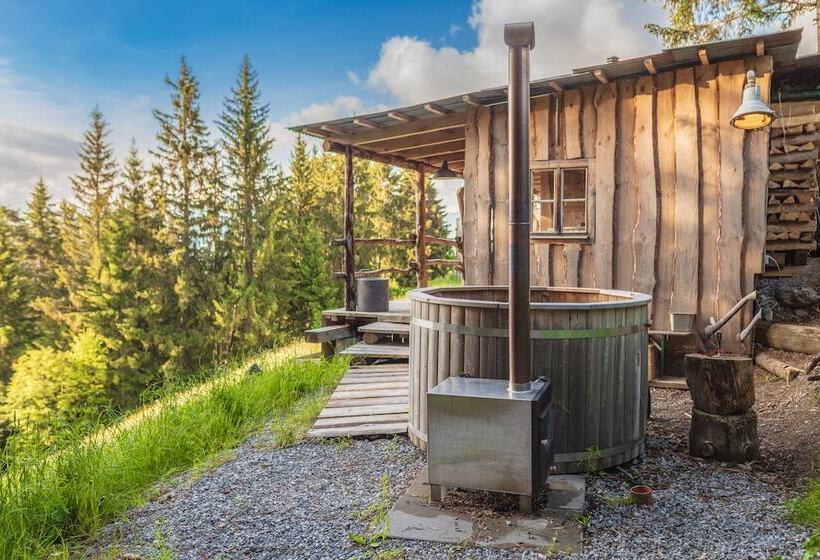 酒店 Rinderberg Swiss Alpine Lodge