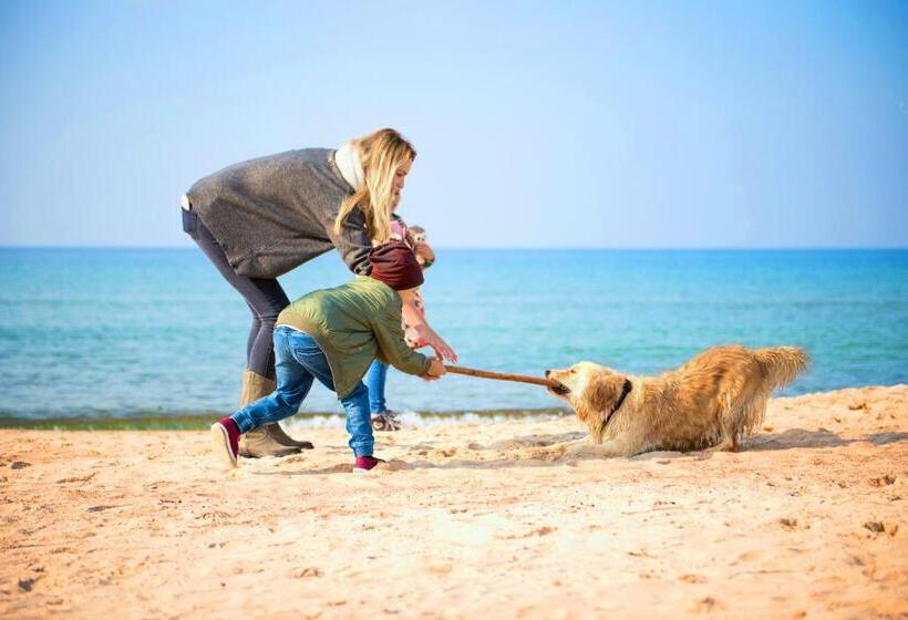 בית מלון כפרי Senator