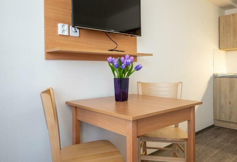 Общежитие Apartmány A Studia Zámecký Park