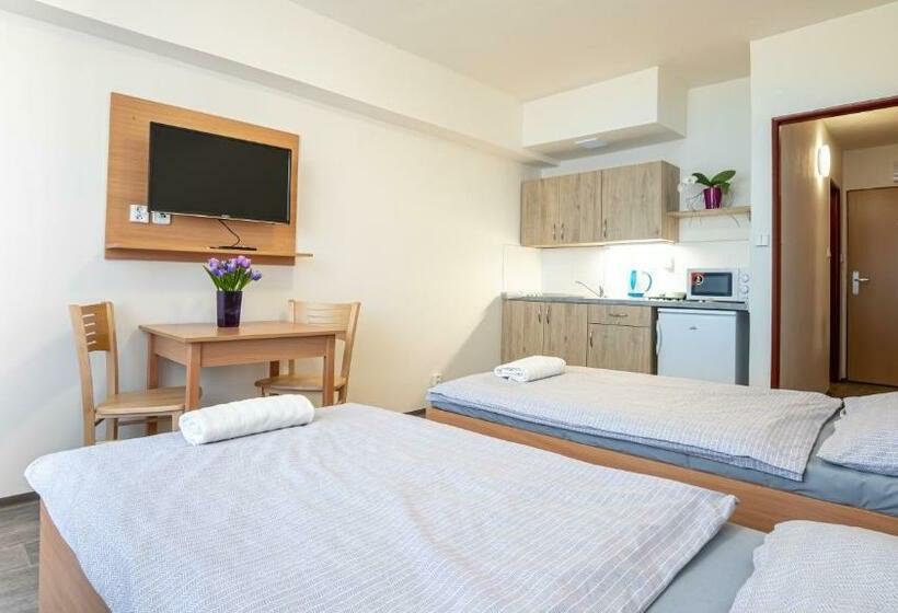 Общежитие Apartmány A Studia Zámecký Park