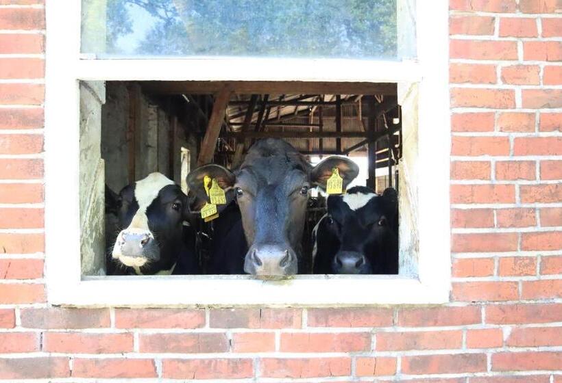 Ferienhaus Heinrichs