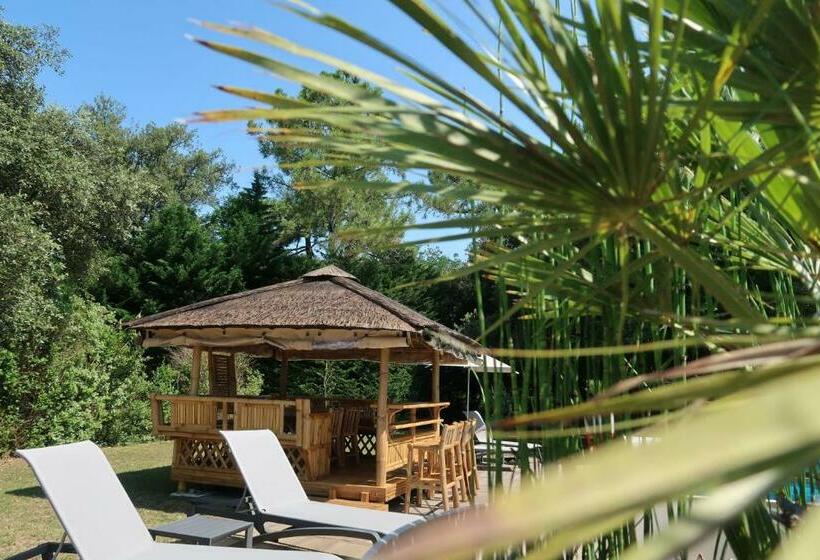 Bed and Breakfast Au K Ré