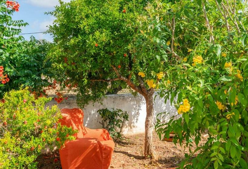 민박 Vivenda Aromas Do Algarve