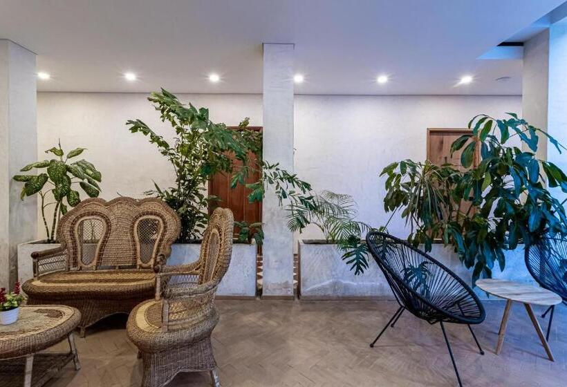 Soy Local Santa Marta