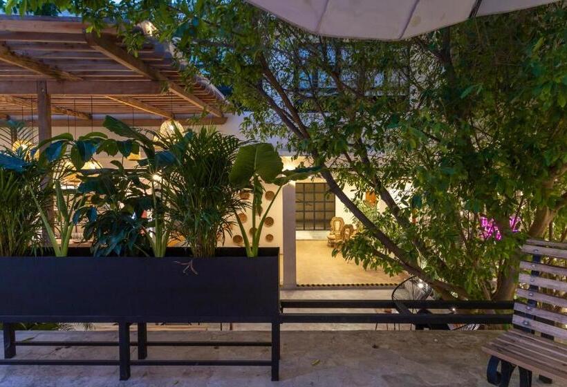 Soy Local Santa Marta