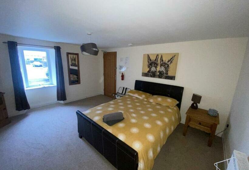 Bed and Breakfast Little Ship Inn Rooms