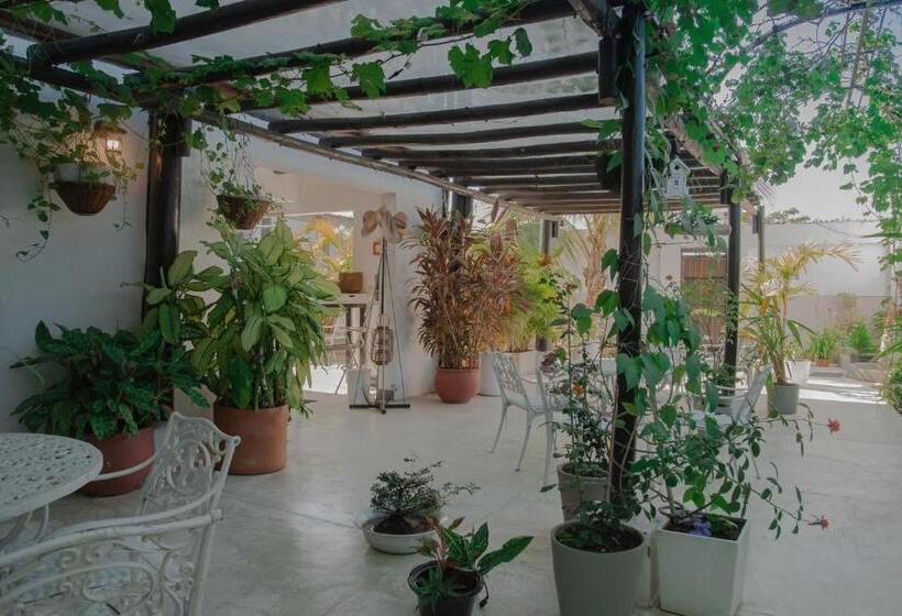 بنسيون Casa Ines