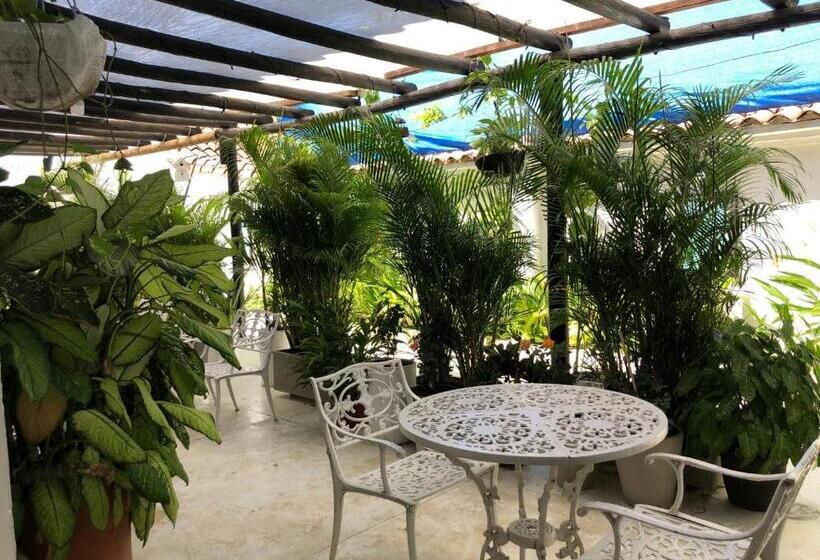 بنسيون Casa Ines