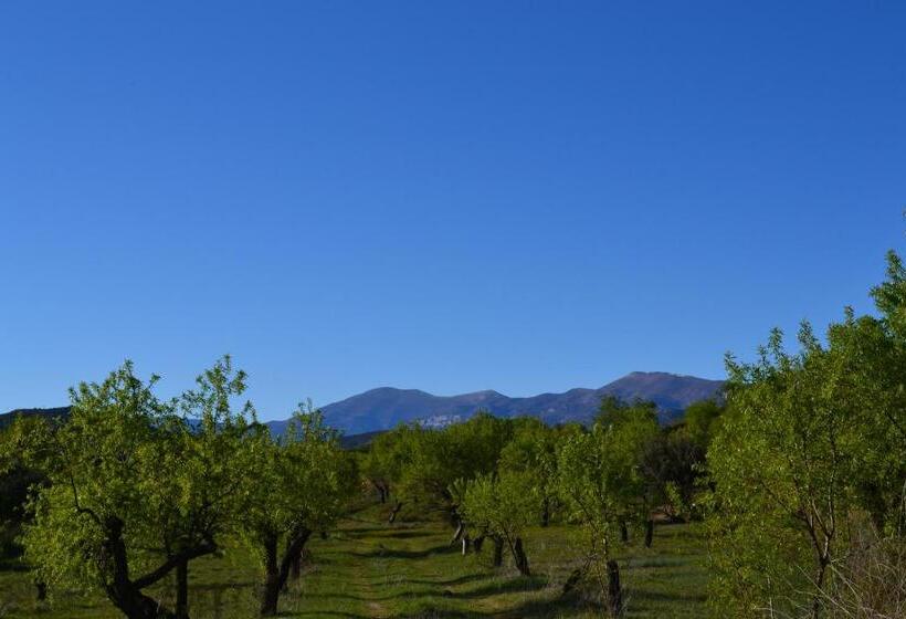 הוסטל Rincón De Guara