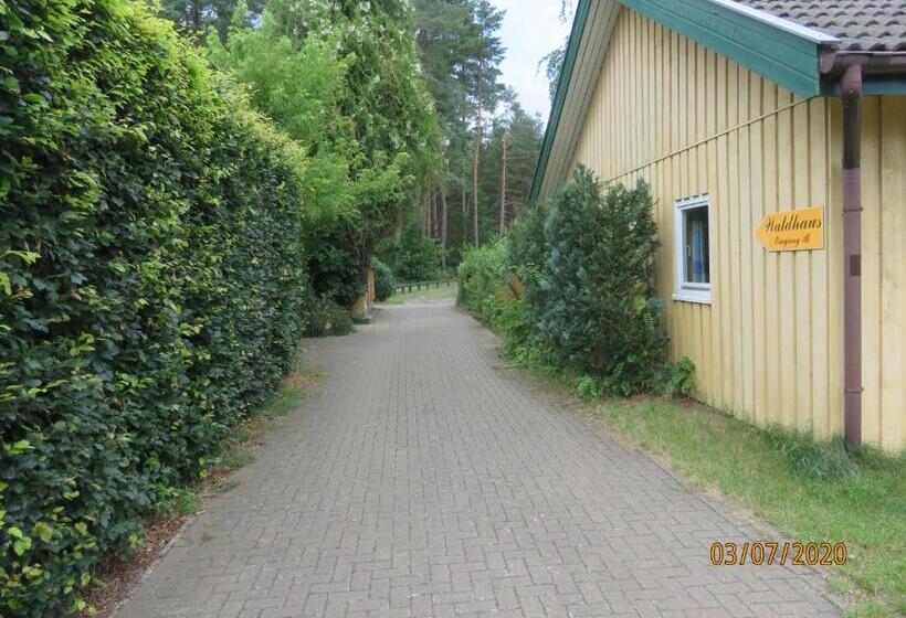 旅馆 Gruppenbungalow Waldhaus Am Ferienpark