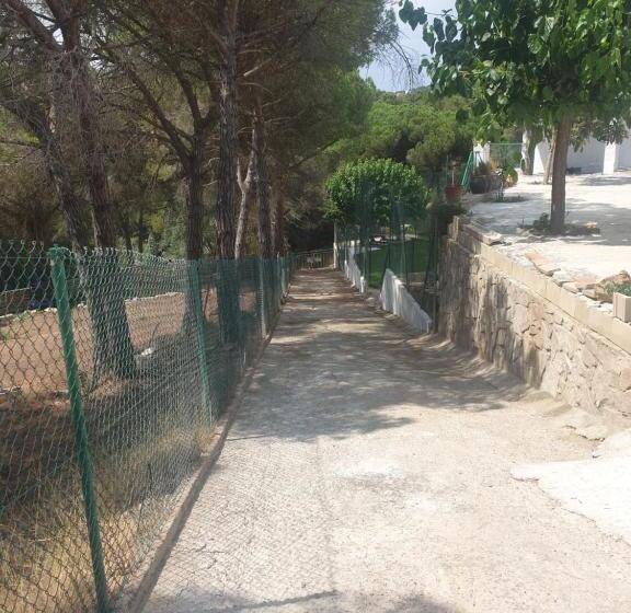 Maravillosa Casa Con Piscina Grande Y Bosque