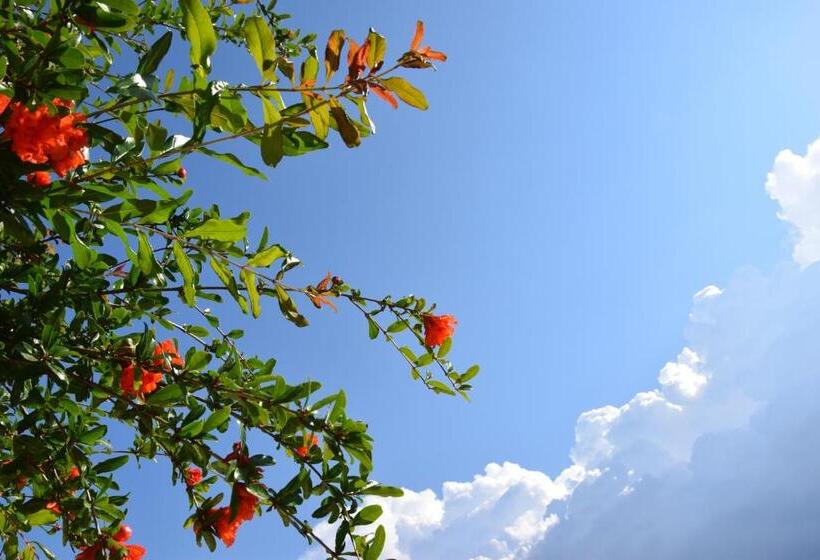 مبيت وإفطار Al Chiaro Di Luna